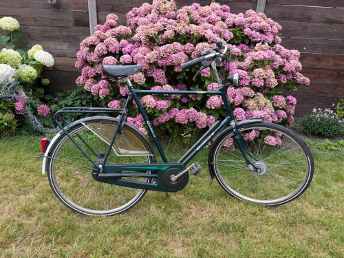 Gazelle stad fiets