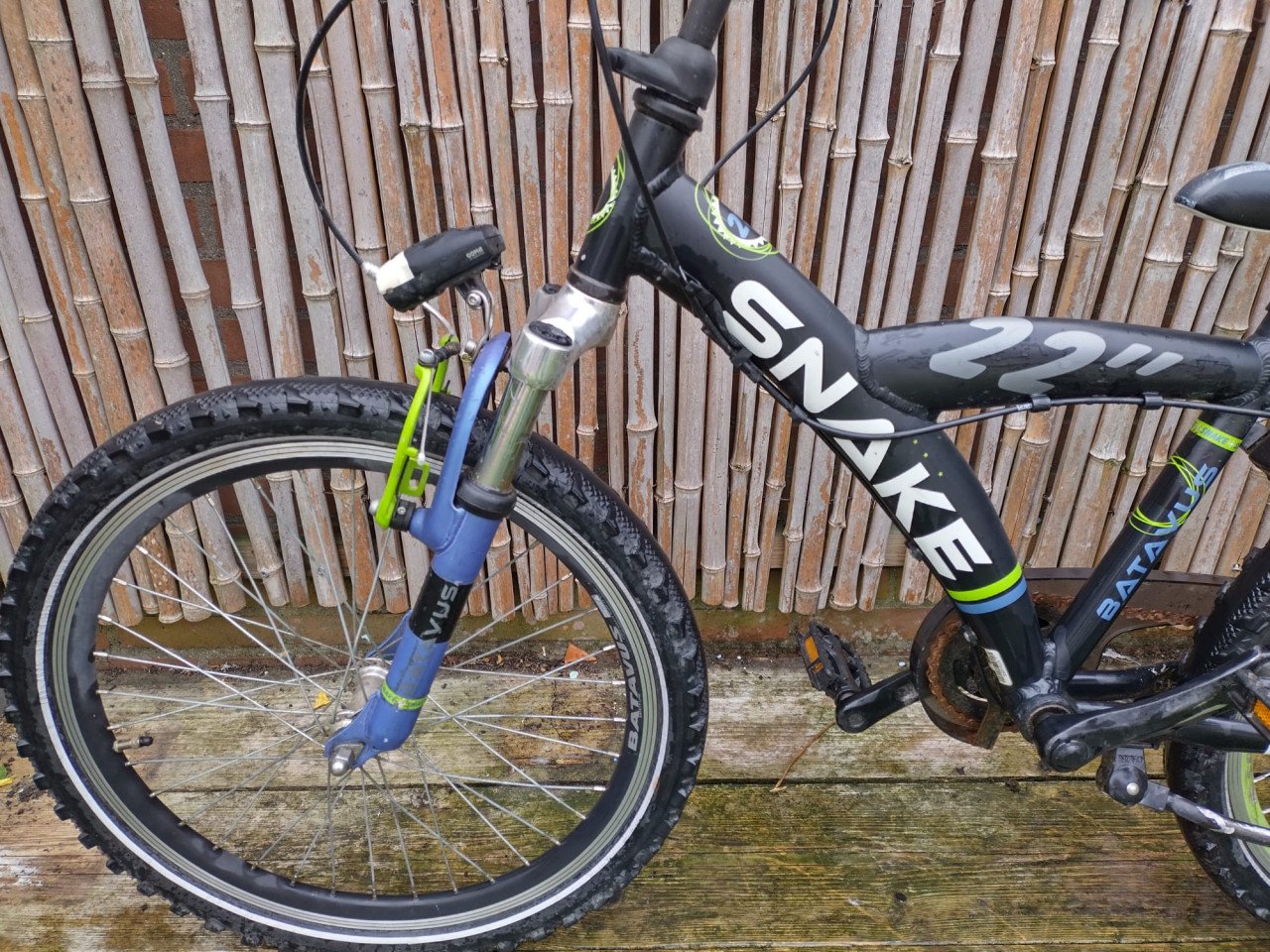 Batavus snake 22 inch