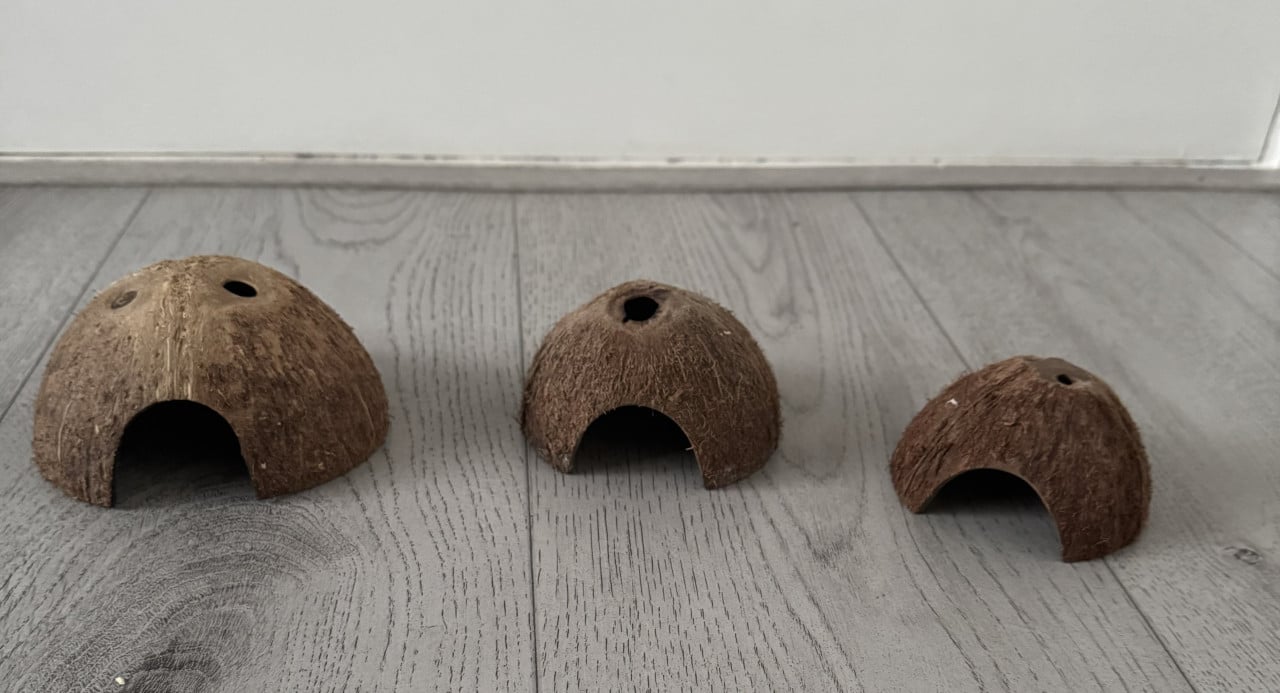 Hamsterkooi + hamsterspullen