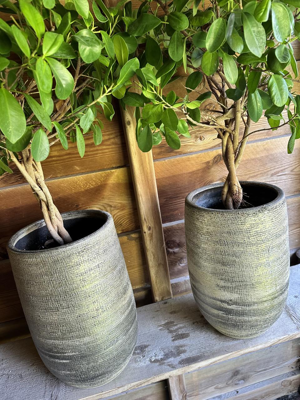 Twee bloempotten met planten, 40cm hoog, zo goed als nieuw