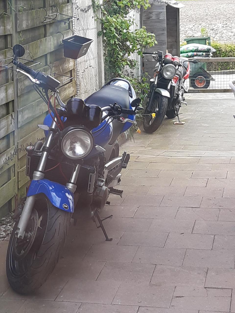 Honda CB 600 Hornet 2001 42600 km blauw
