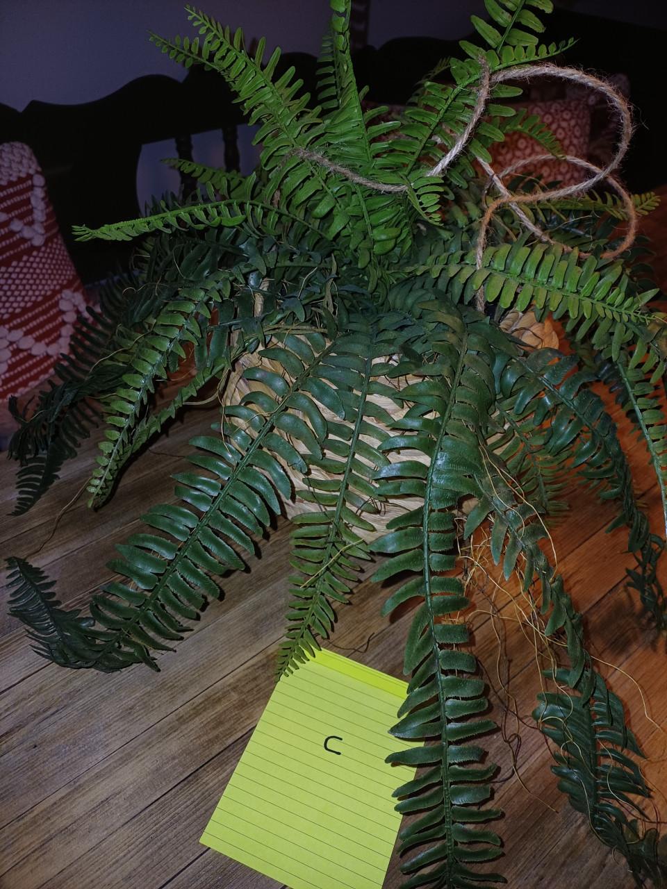 Kunstplanten