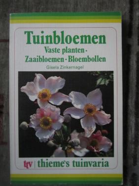 Laatste Kans Boek