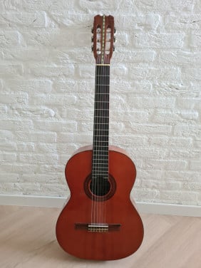 Akoestische gitaar
