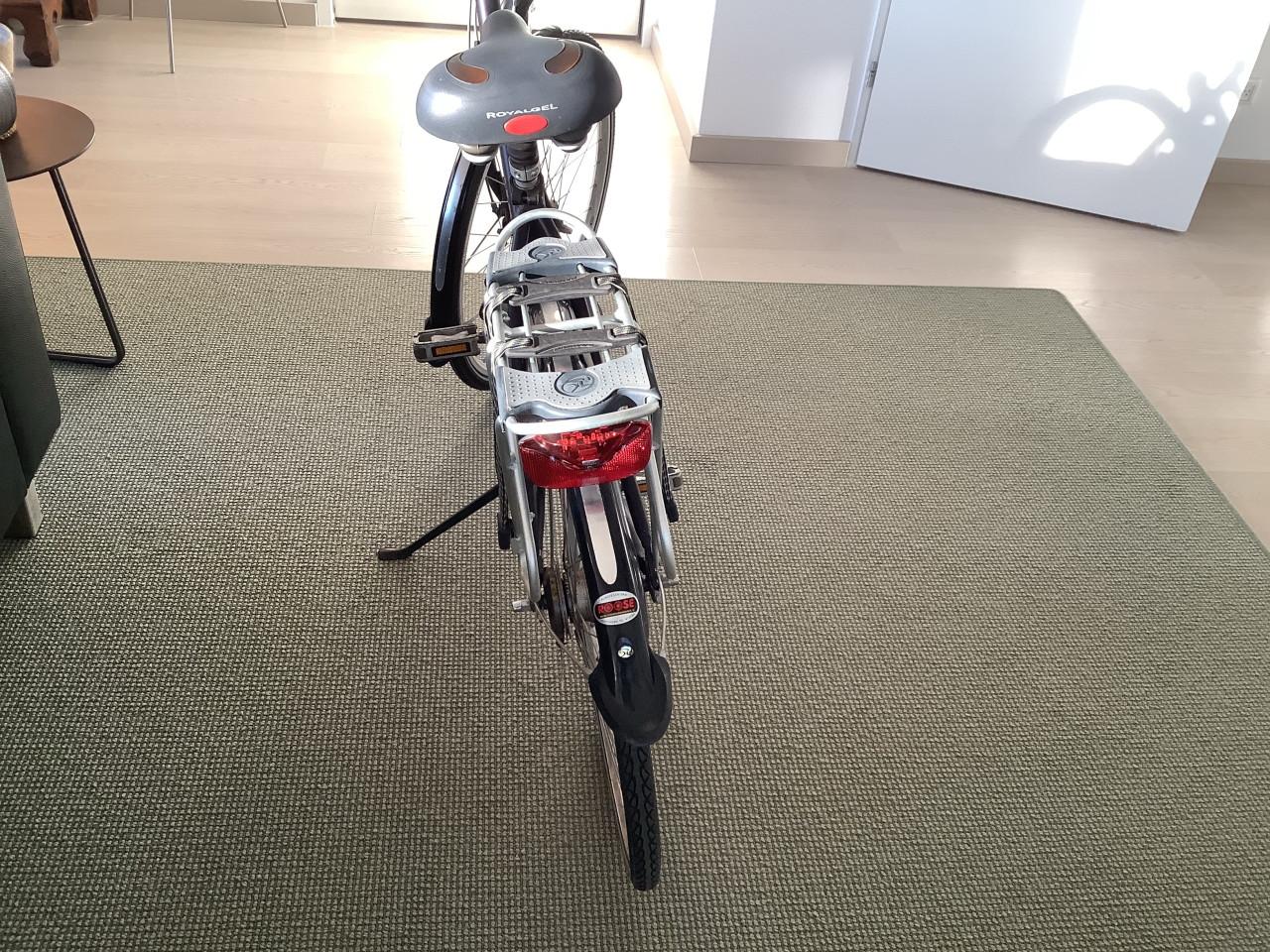 Keurige Batavus Legato