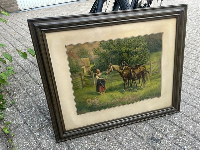 Lijst afbeelden met paarden