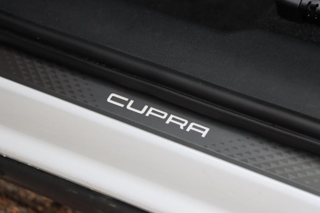 Cupra Terramar 1.5 etsi business dsg7 150pk