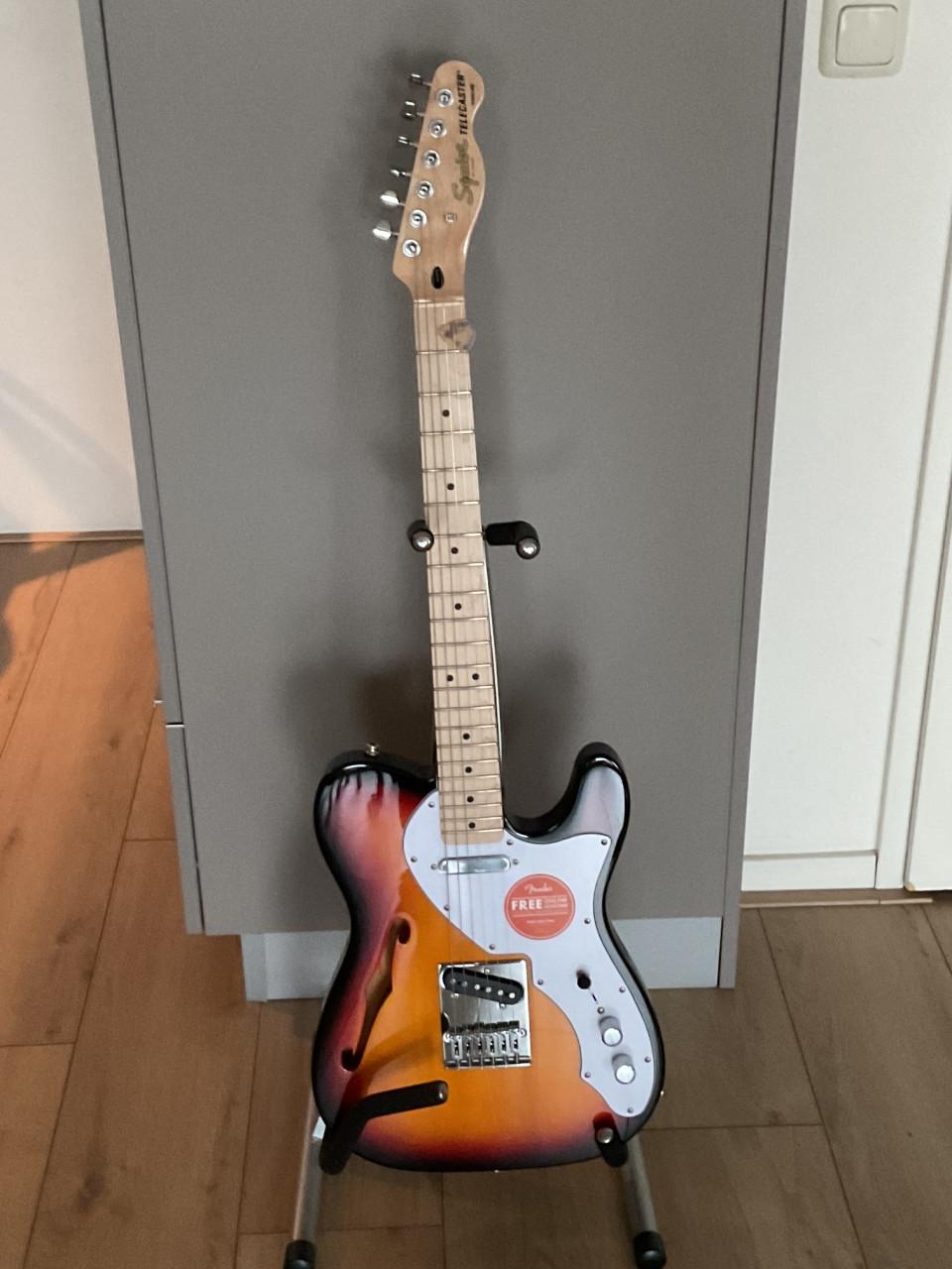 SQUIER telecaster thinline ( nieuw )