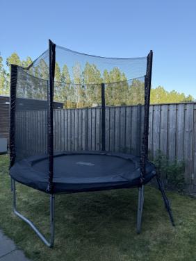 Salta trampoline 240 cm