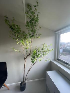 Kunstplant 'Ekianthus' van Kave Home