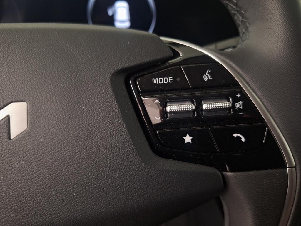 Kia Niro Ev light advanced 64.8 kwh |verkocht