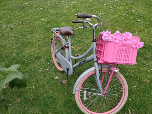 Meisjes fiets 24 " spirit grijs met roze