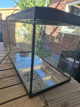 Aquarium superfish 100