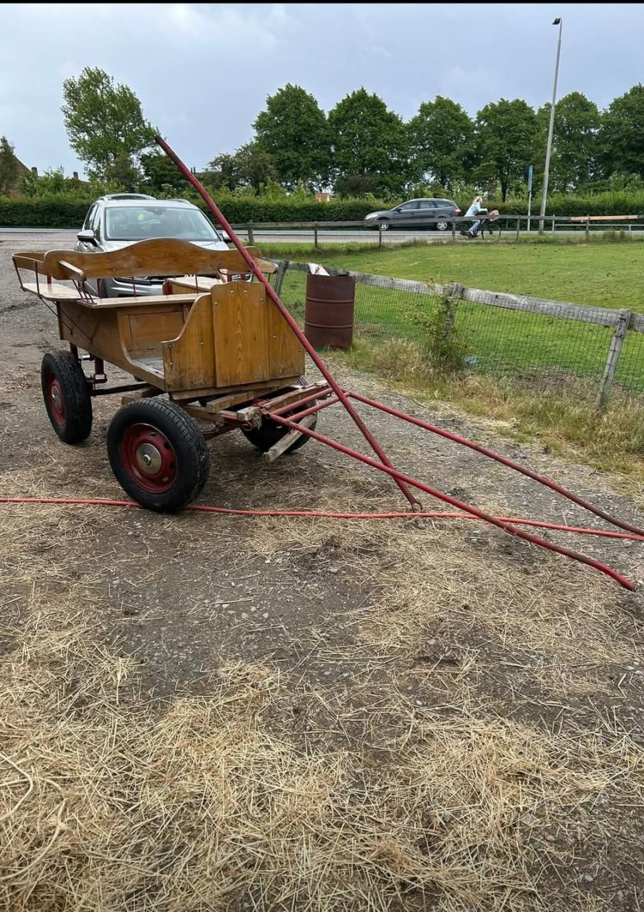 Te koop pony karretje