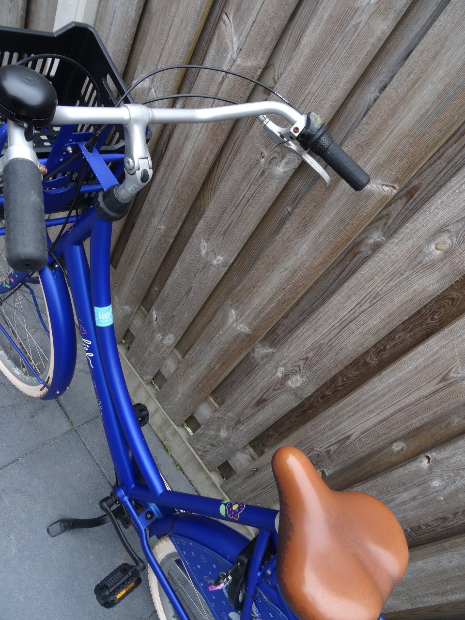Cortina Lief 28 inch damesfiets 3 vers fr 57 cm