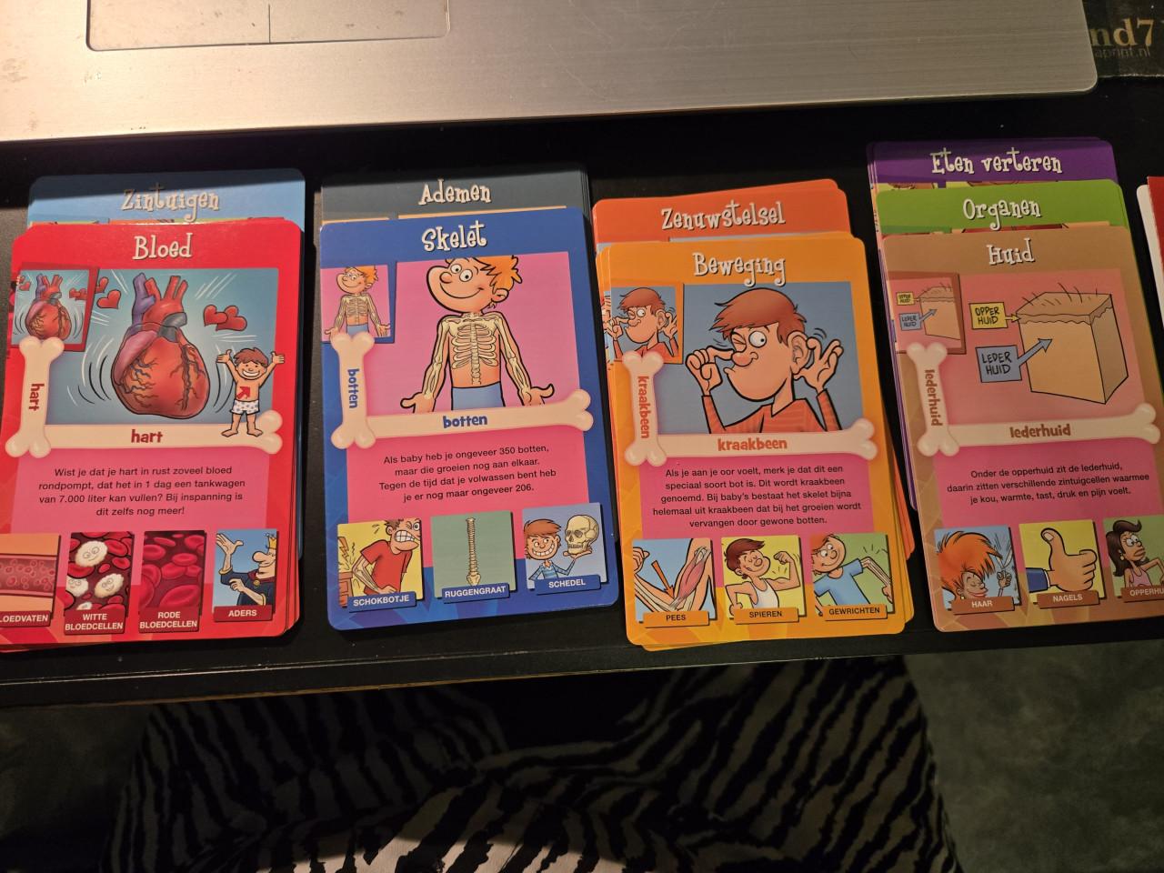 Menselijk Lichaam Weetjes Kwartet van Identity Games.