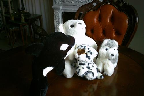 Vier NIEUWE mooie knuffels ...