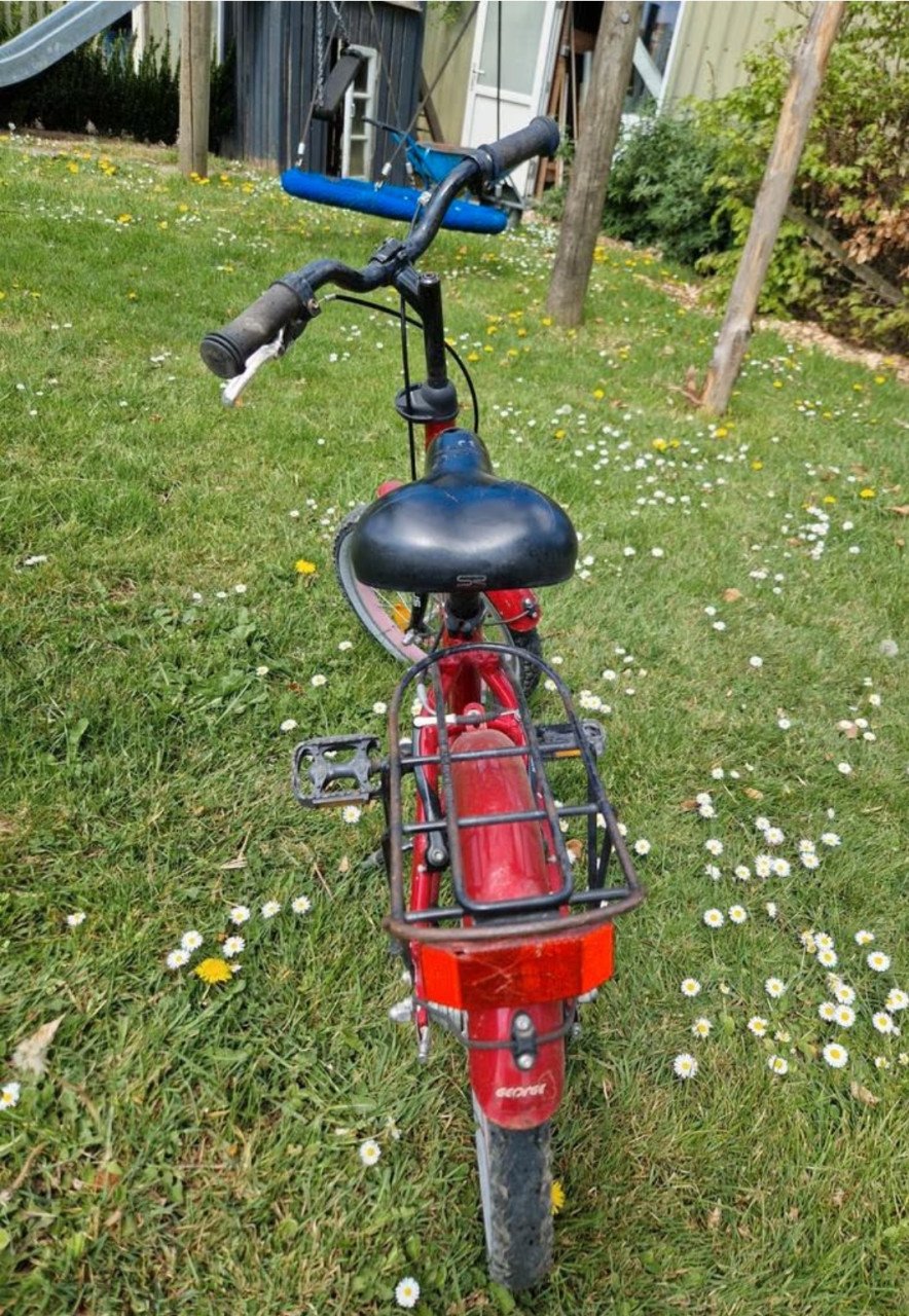Batavus fiets Snake 16 inch