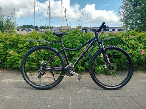 Dames TREK MTB 29er
