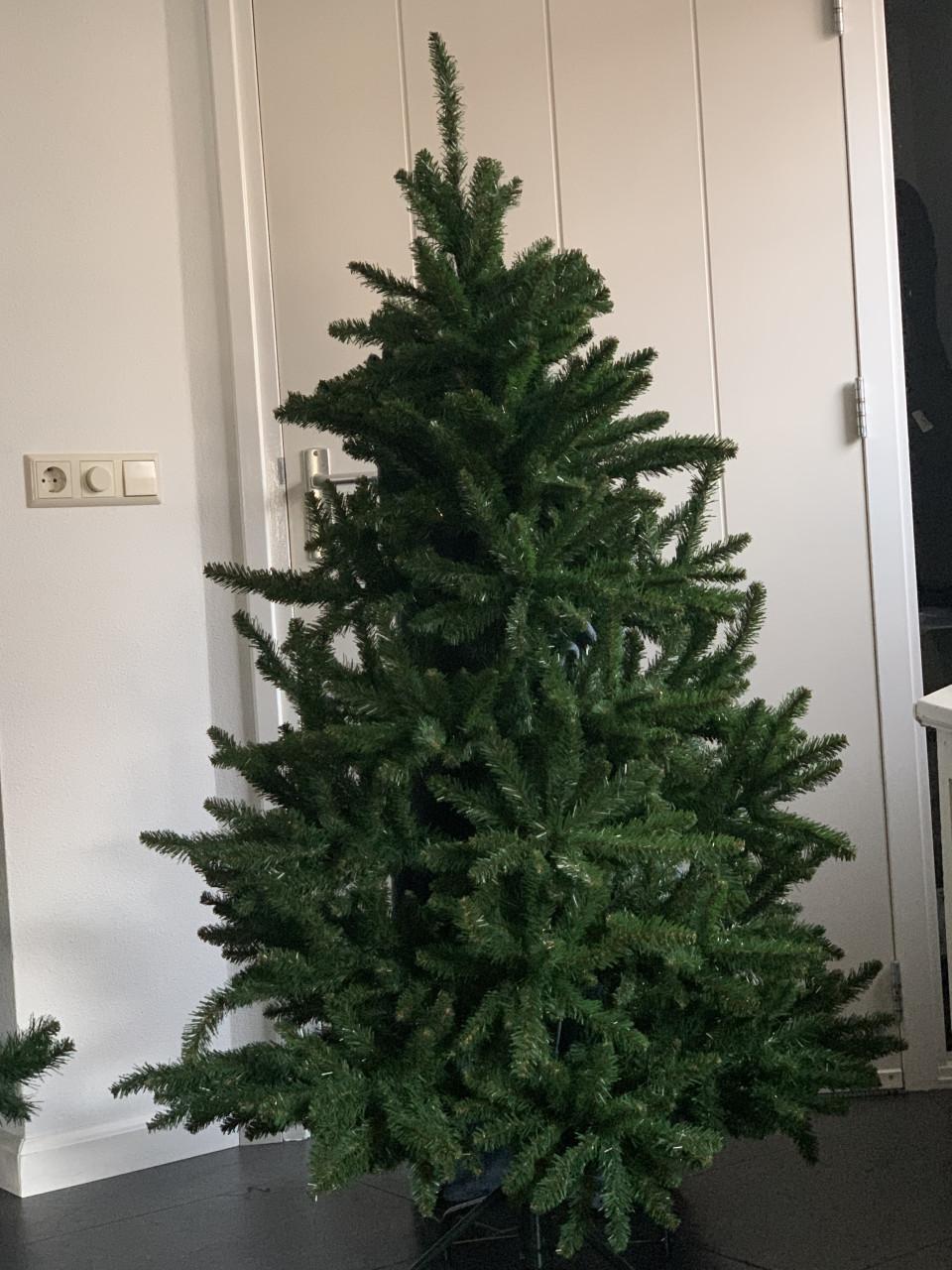 Kerstboom Triumph tree. 1.55 hoog