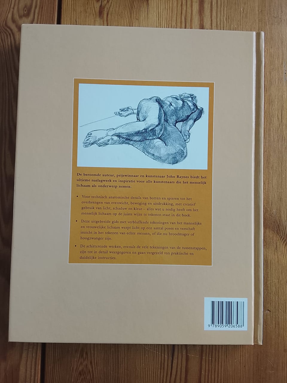 Tekenen en Schildertechnieken Anatomie