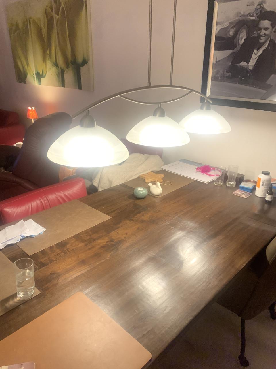 Hanglamp dimbaar in hoogte verstelbaar