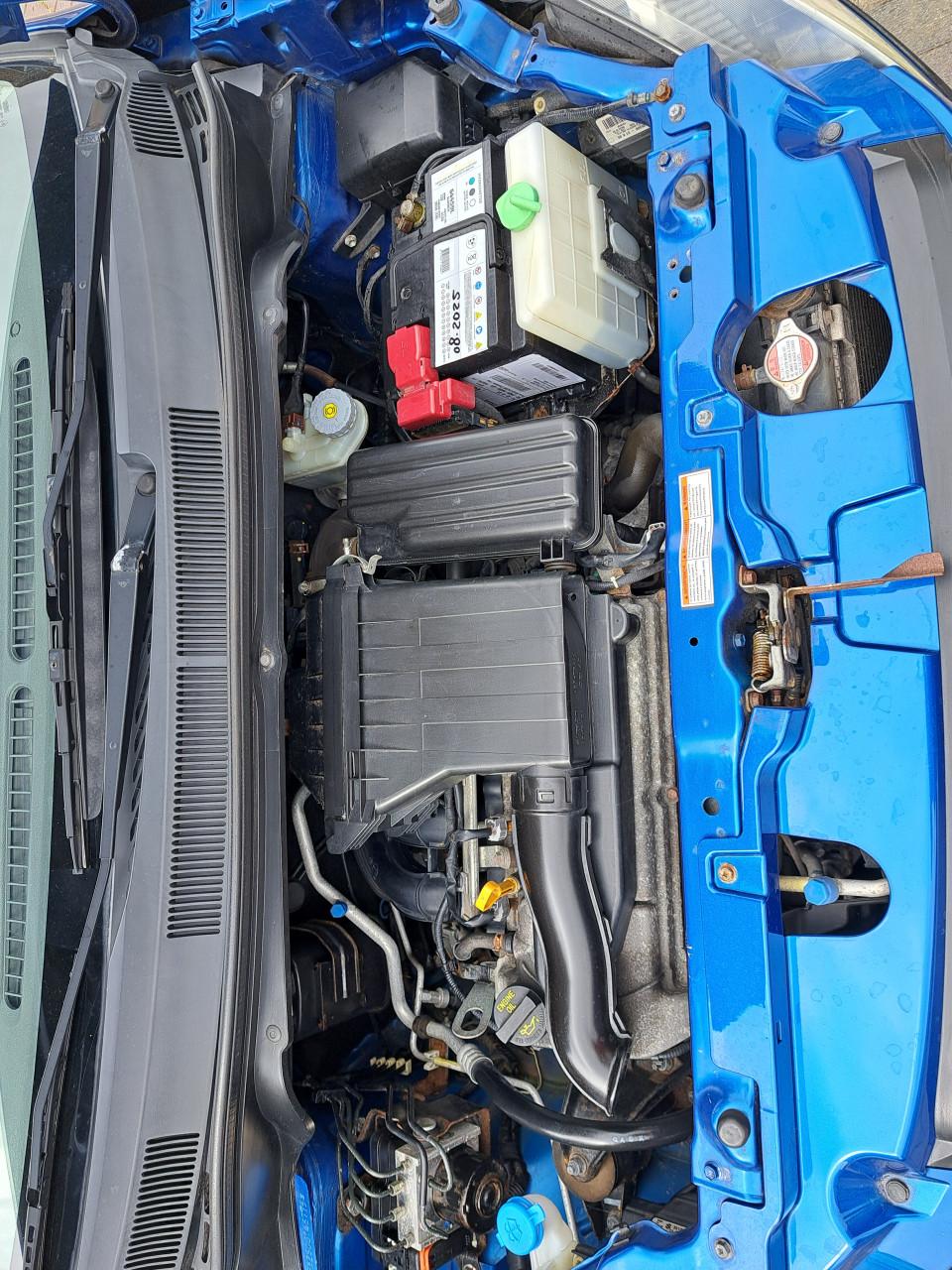 Suzuki splash