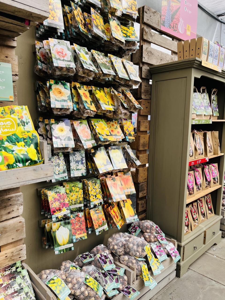 Bloembollen 50%korting