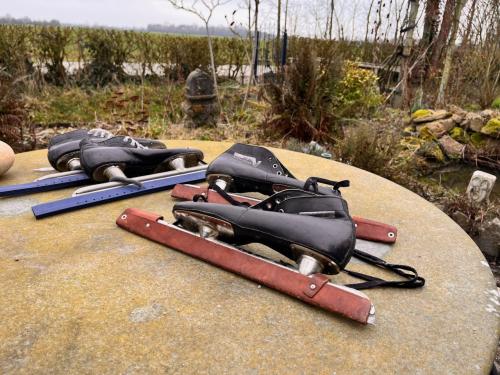 Viking Noren, halfhoog model, maat 43