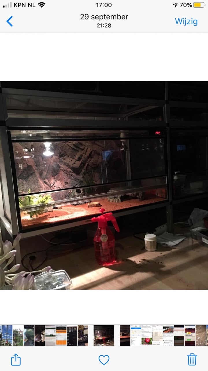 Stelling met 4+2 terrariums en toebehoren (zie omschrijving).
