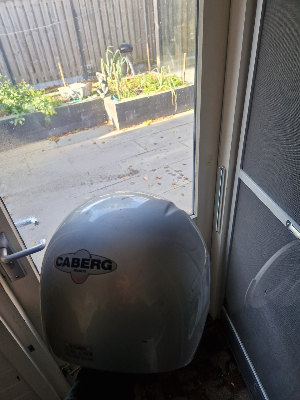 Helm
