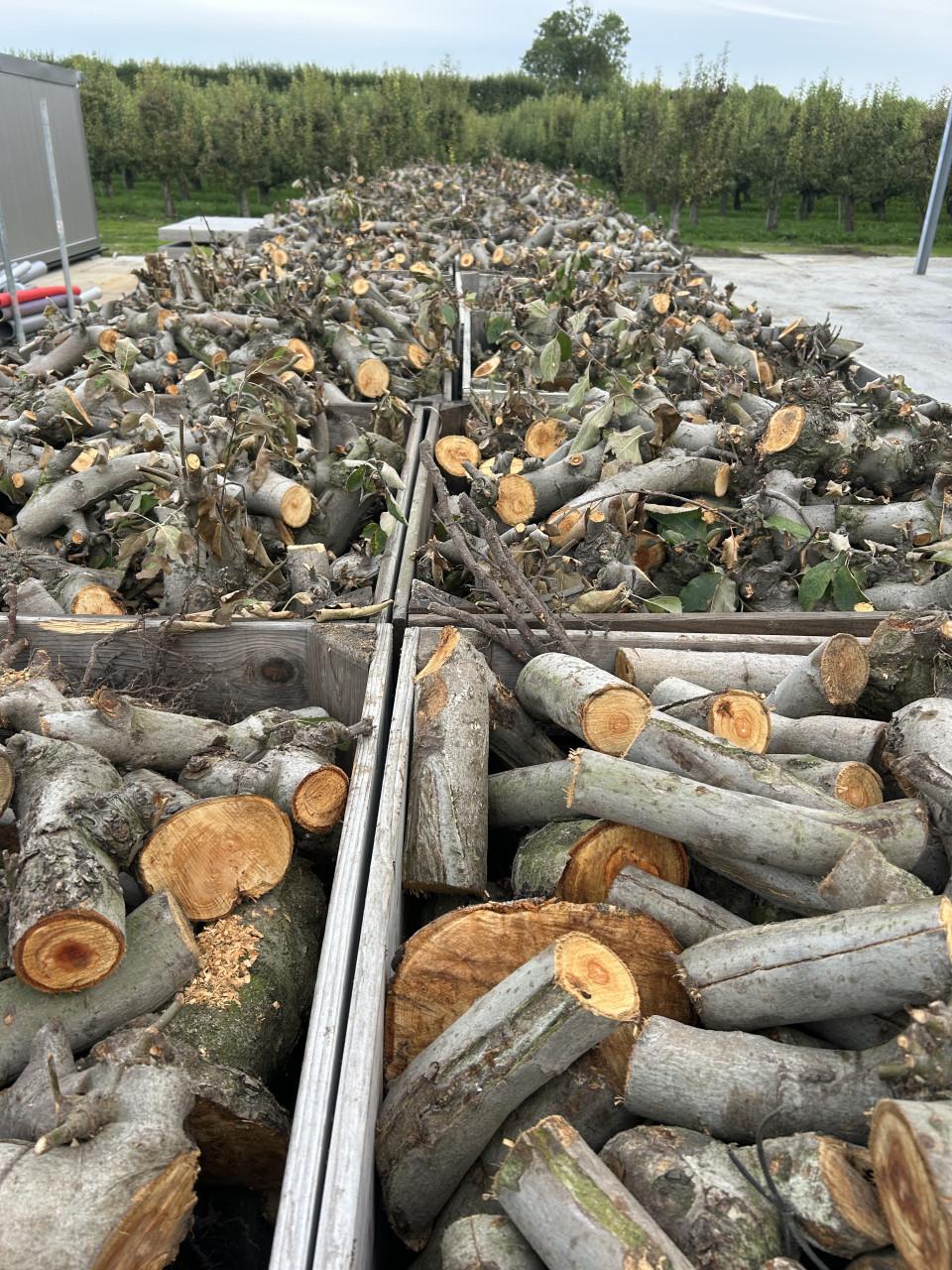 Haardhout