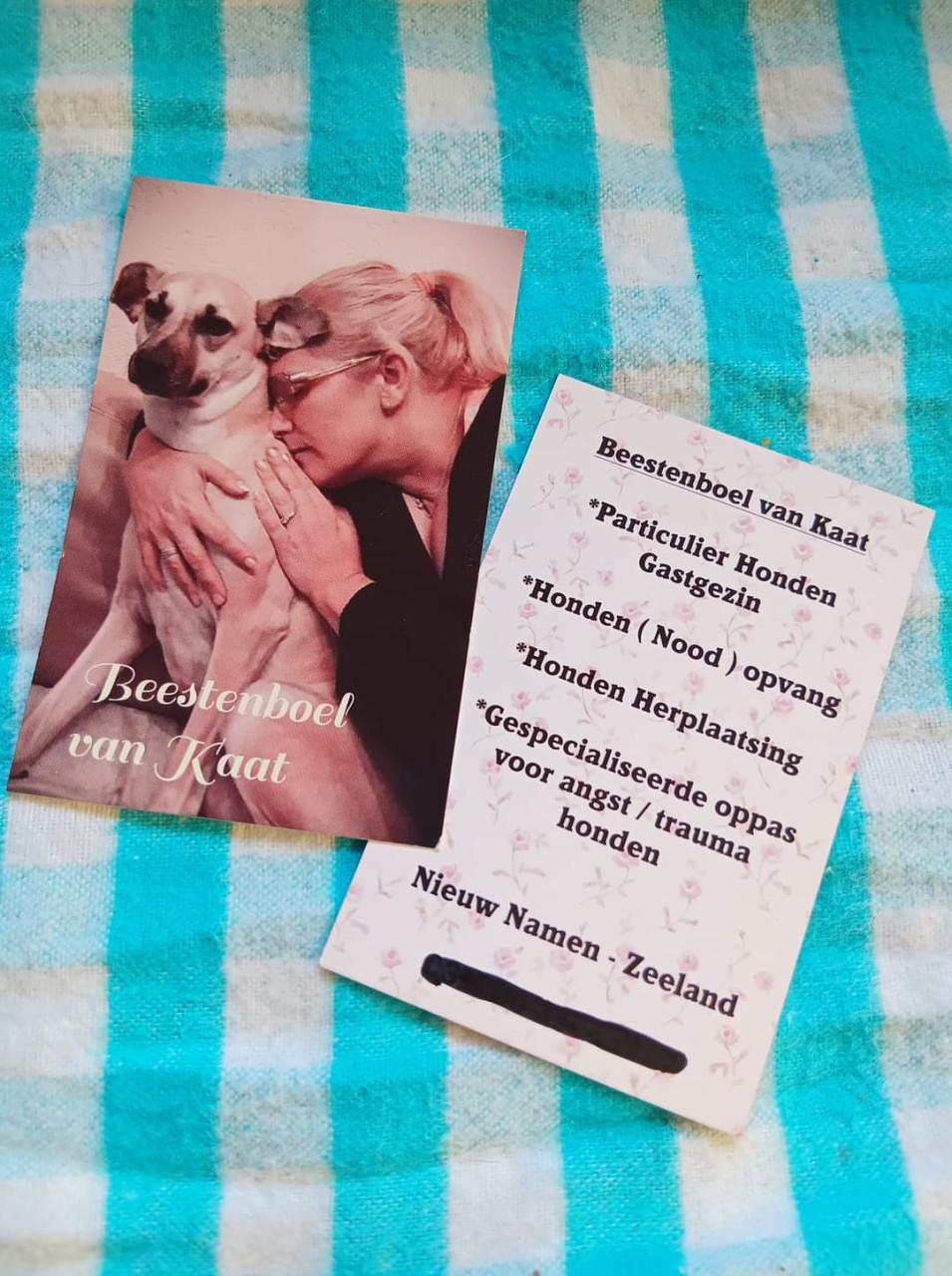 Ervaren hondenoppas (andere dieren ook mogelijk in overleg)