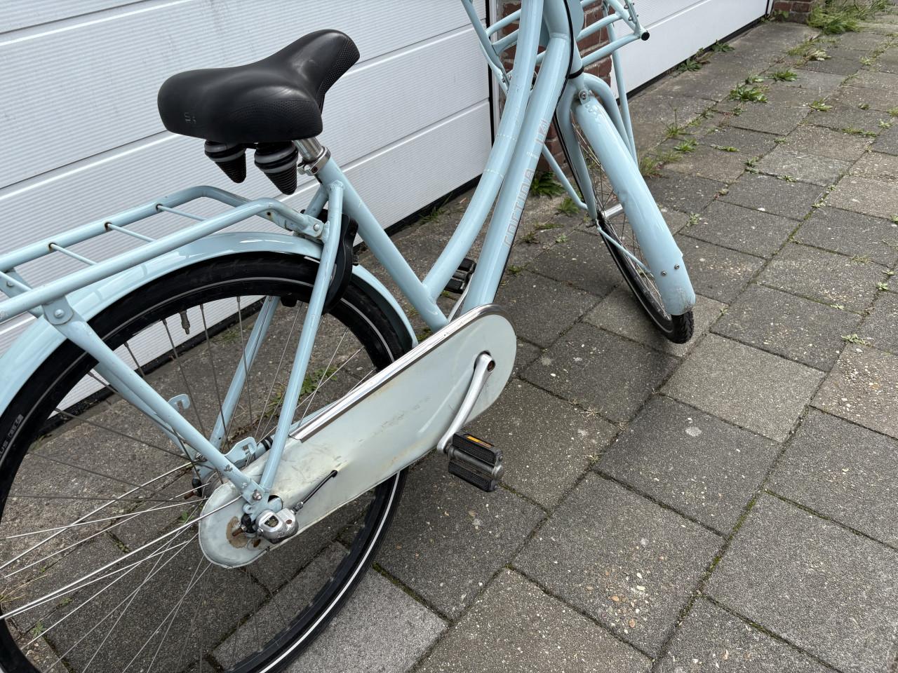 Cortina U4 D49 Nexus 3