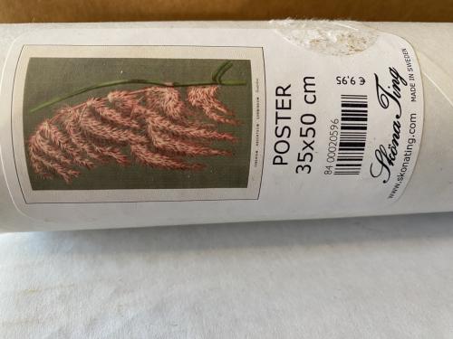 Poster nieuw 35 x 50