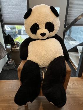 Grote panda beer knuffel