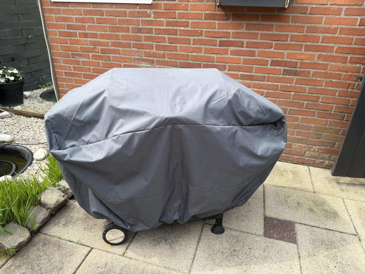 Gas BBQ
