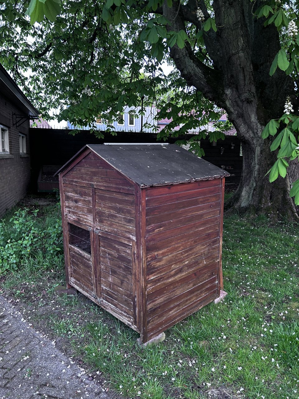 Kippenhok groot