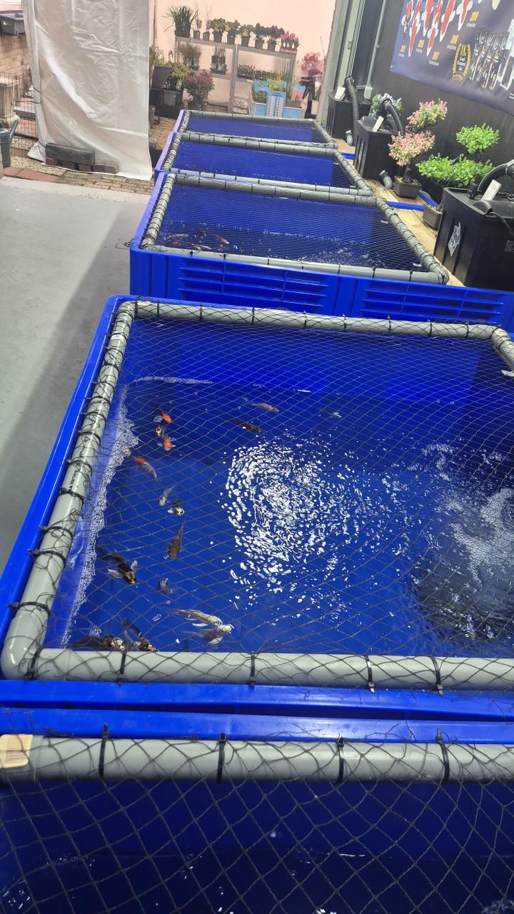 Diverse vijverspullen