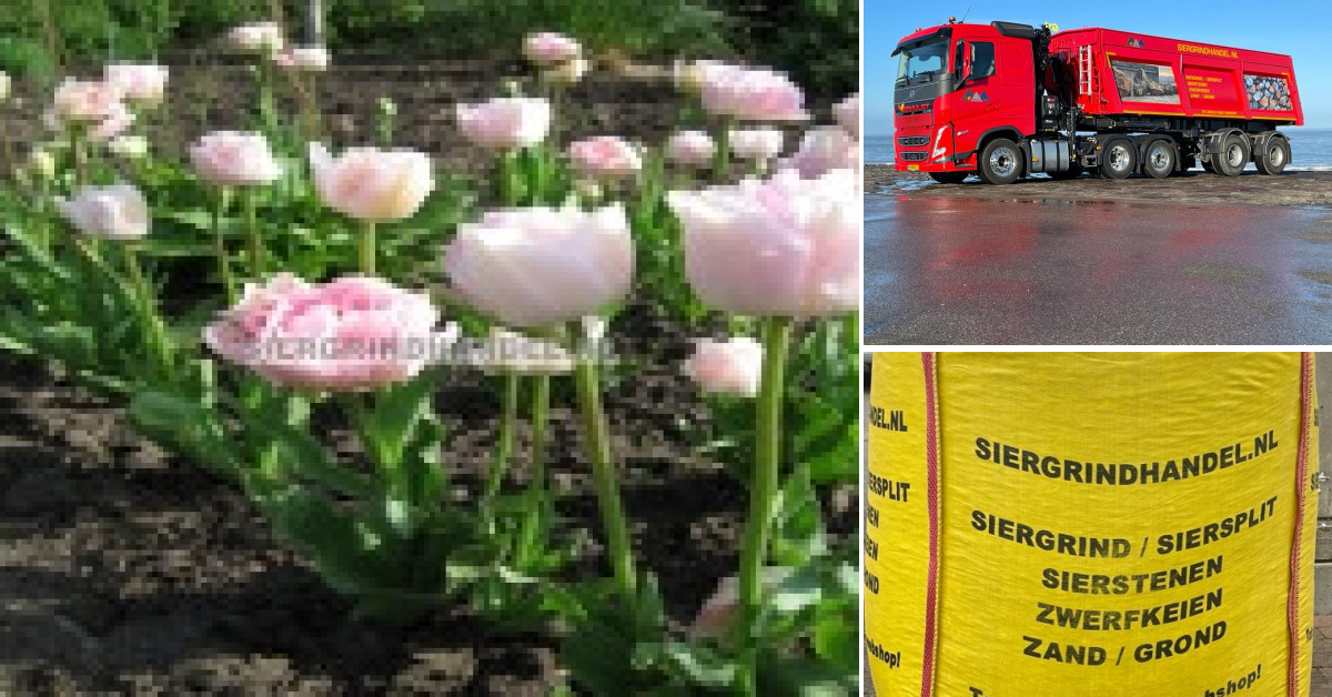 Diverse soorten GROND - GRATIS levering in heel ZEELAND
