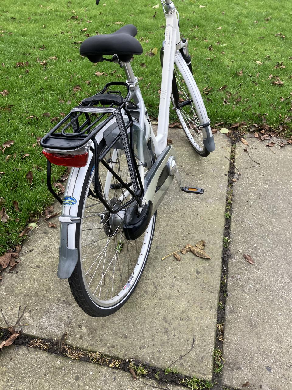 Gazelle Chamonix 28"