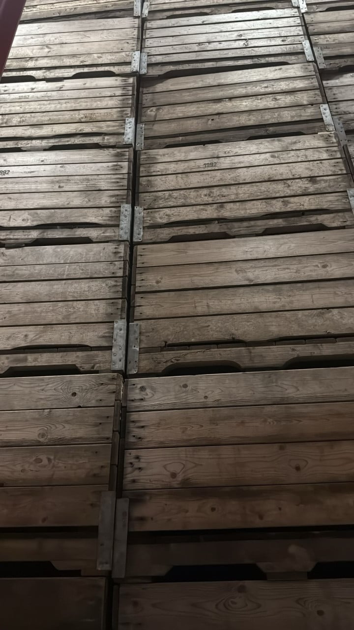 VOORRAADBAKKEN,KUUBSKISTEN.FRUITBAKKEN,BOOMPALEN