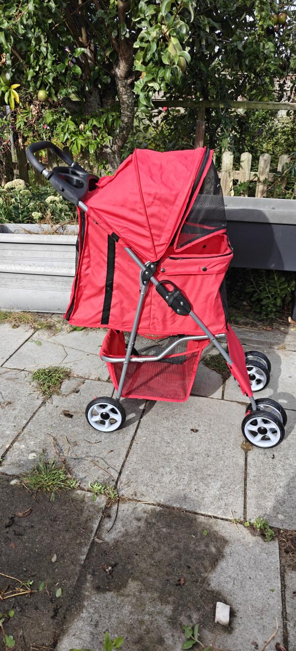 Buggy, zgan