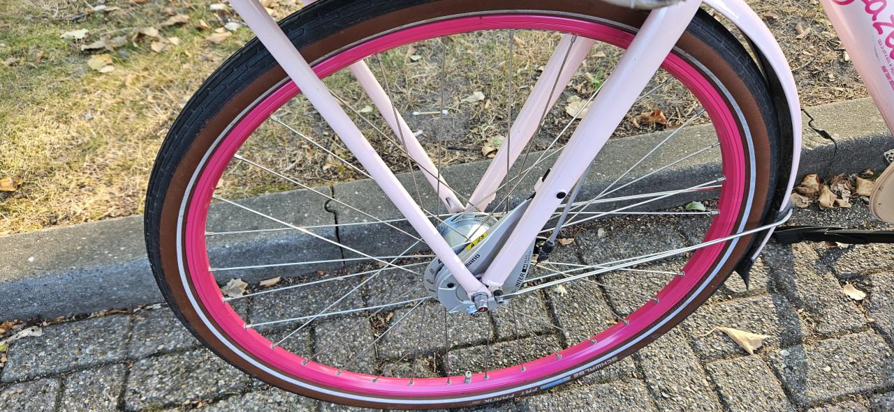 Gazelle Miss Grace Unieke Roze damesfiets