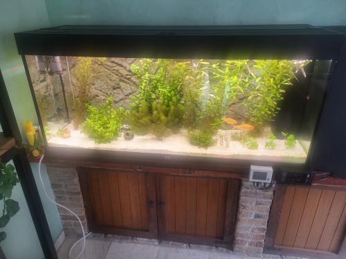 Juwel Rio 240 GERESERVEERD