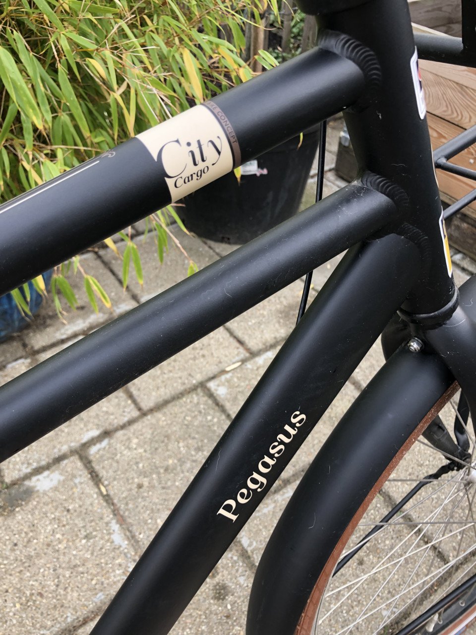 Pegasus City Bike