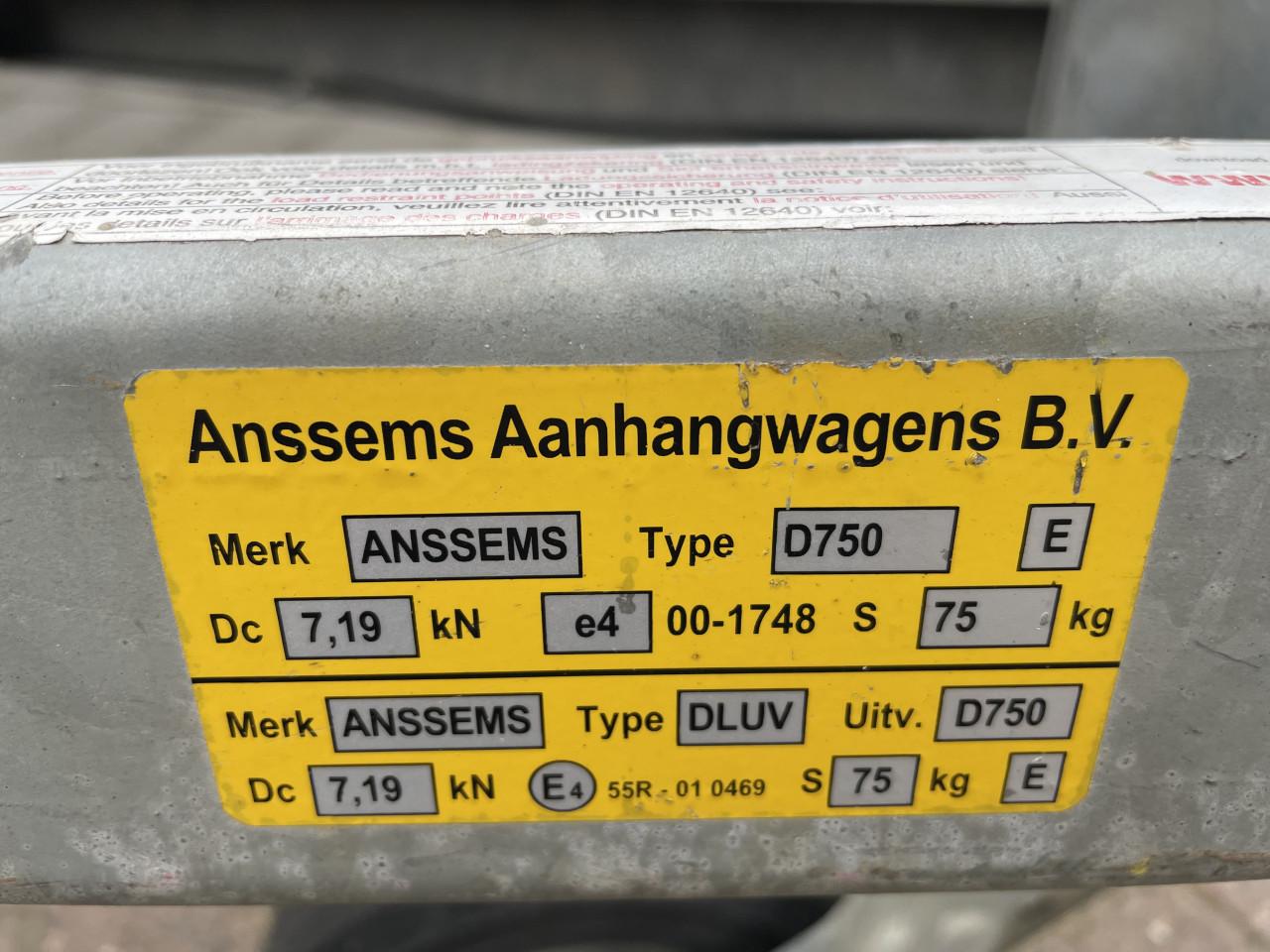 ZGAN Schitterende Grote ANSEMSS IZGS!!!