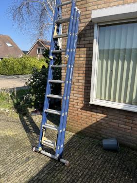Ladder altrex 3x 12