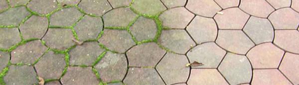 Anti alg en anti groen in handomdraai - 1L - Fles