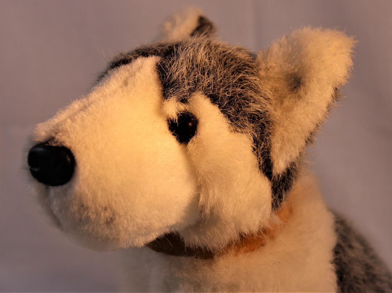 Grote Speelgoed hond